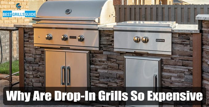 Why Are Drop In Grills So Expensive